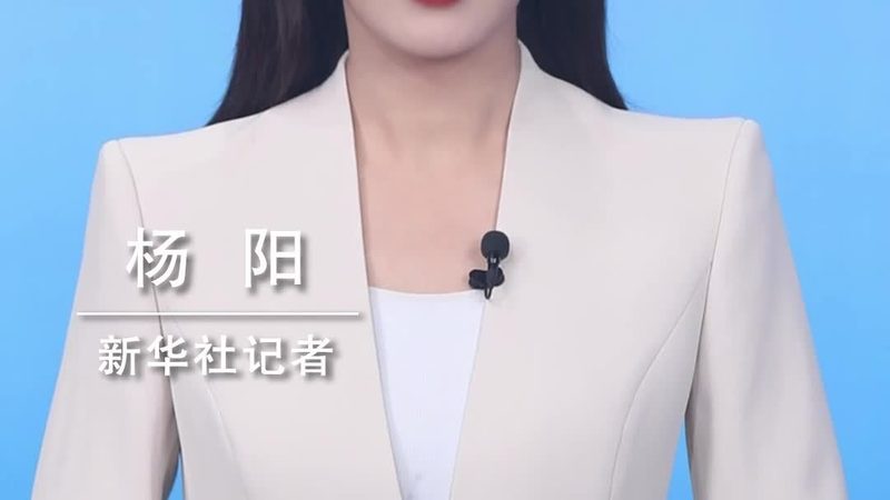 企业数字化流程优化：路径与策略解析